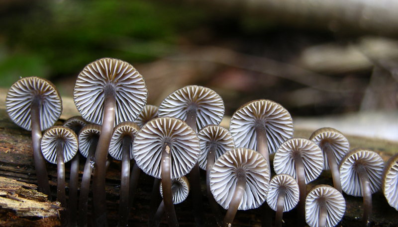 Ritrovamenti  del 21 marzo.